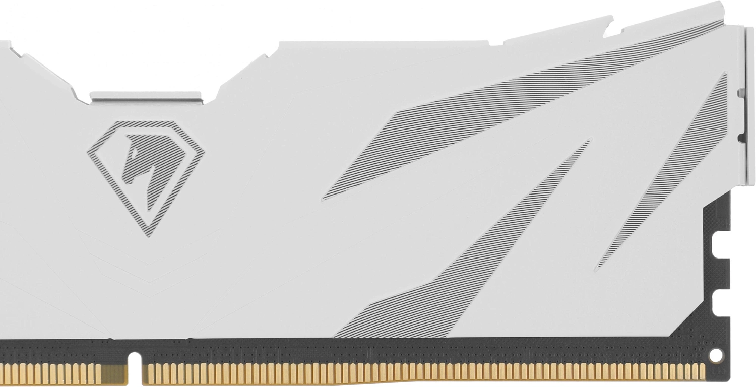 Память DDR5 2x16GB 6000MHz Netac NTSWD5P60DP-32W Shadow II RTL PC5-48000 CL38 DIMM 288-pin 1.35В kit Intel Ret