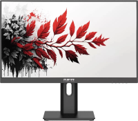 Монитор RDW Computers 27" RDW2701K черный IPS 1ms HDMI M/M матовая HAS Piv 350cd 178гр/178гр 2560x1440 DP QHD (RUS)