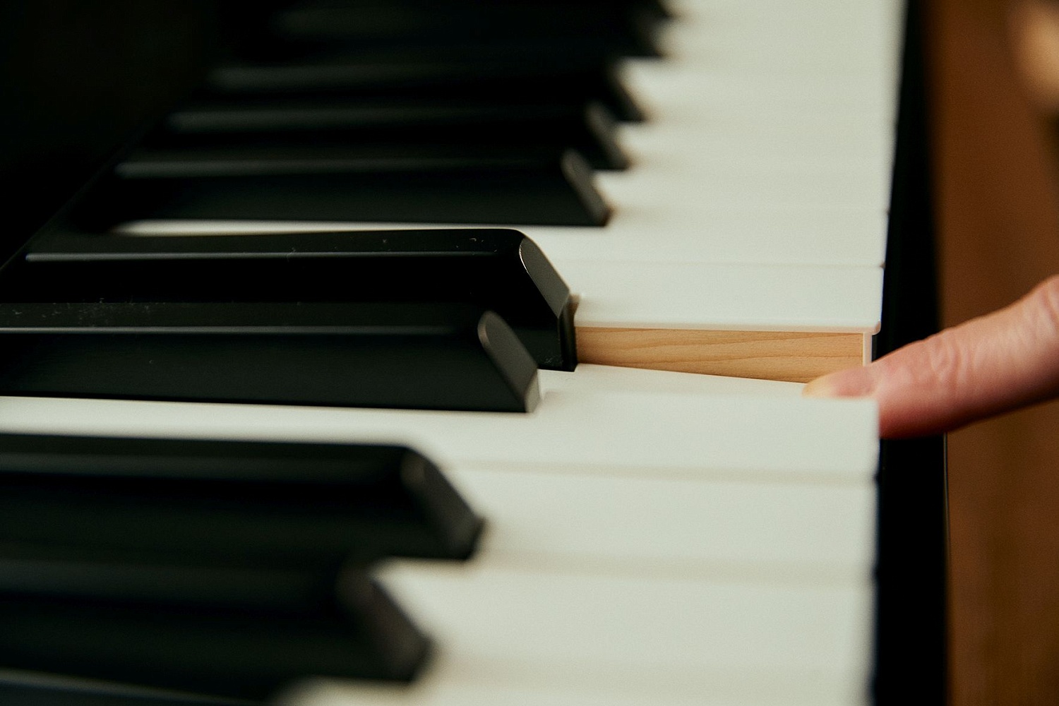 Цифровое фортепиано Casio Privia PX-S5000BK