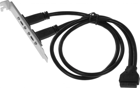 Адаптер USB 2xUSB3.1 Type-C Bulk