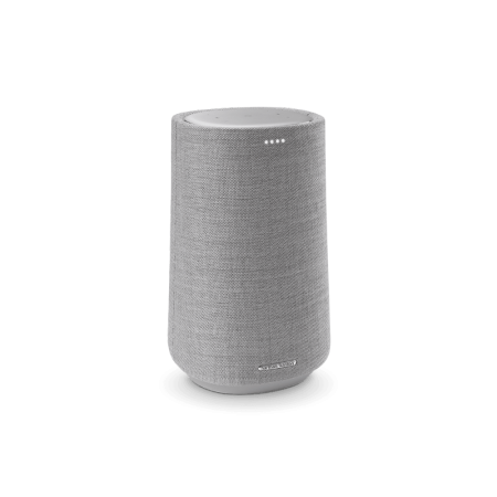 Портативная акустическая система Harman/Kardon Citation 100 MKII Grey