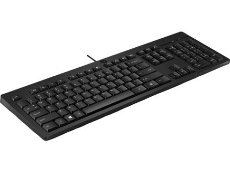 Клавиатура Keyboard HP 125 Wired (black)