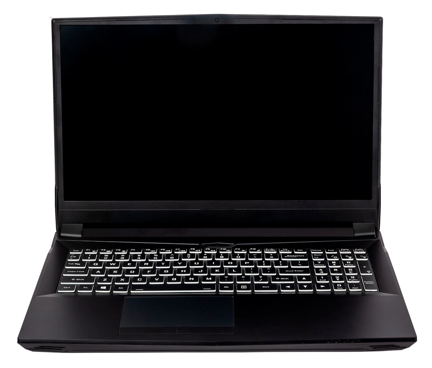 Ноутбук Hiper G16 Core i7 11700 16Gb SSD1Tb NVIDIA GeForce RTX 3070 8Gb 16.1" IPS FHD (1920x1080) Windows 11 Professional black WiFi BT Cam 5040mAh (G16RTX3070B11700W11)