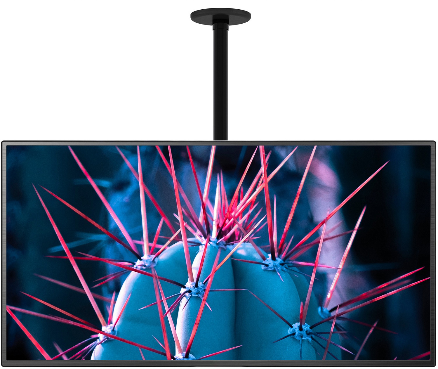 Кронштейн для телевизора Cactus CS-CP07 черный 23"-55" макс.45кг потолочный поворот и наклон