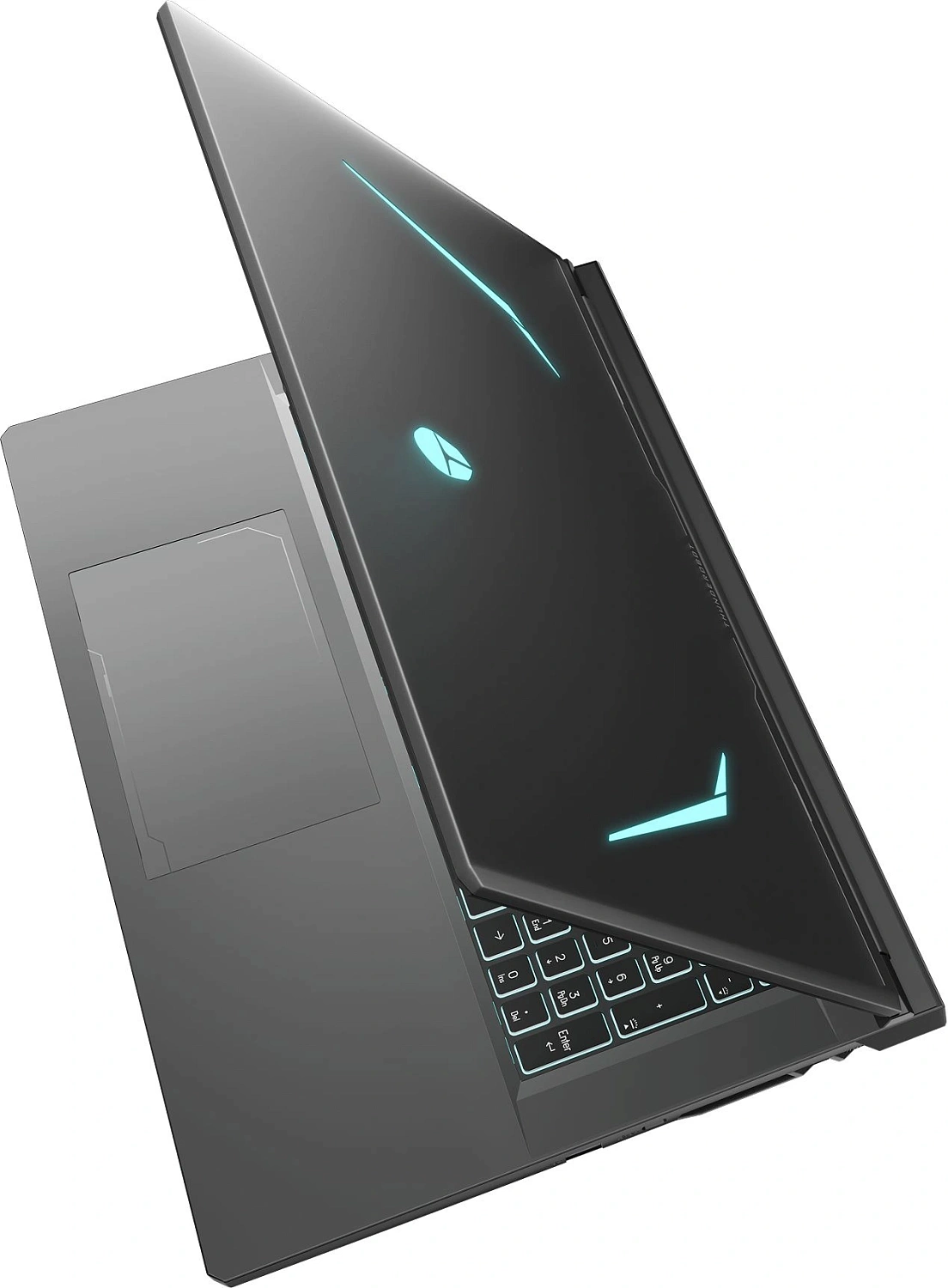 Ноутбук Thunderobot Range 17 G2A Pro Ryzen 7 H255 16Gb SSD1Tb NVIDIA GeForce RTX 5060 8Gb 17.3" IPS FHD (1920x1080) Windows 11 Pro black WiFi BT Cam (JT009W00QRU)