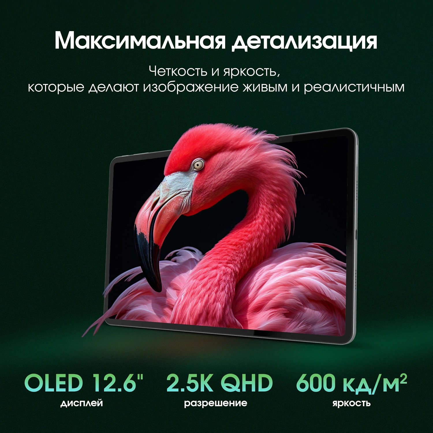 Планшет Digma Pro Evolution G99 (2.2) 8C RAM8Gb ROM256Gb 12.6" OLED 2560x1600 4G Android 15 серебристый 13Mpix 5Mpix BT WiFi microSD 2000Gb 9500mAh