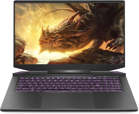 Ноутбук Maibenben X757 Ryzen 7 5800H 16Gb SSD512Gb NVIDIA GeForce RTX 3070 8Gb 17.3" IPS QHD (2560x1440) Linux black WiFi BT Cam 4100mAh (X757QSFELBRE0)