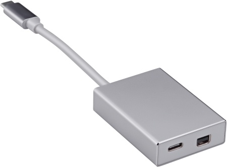 Адаптер Buro BHP miniDisplayPort (f)-USB Type-C (m) 0.1м серебристый