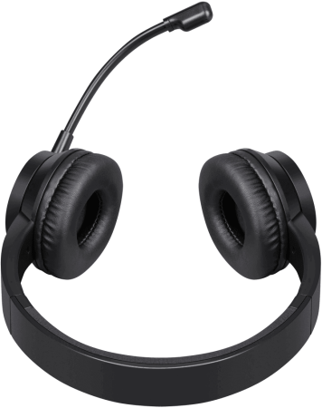 Компьютерная гарнитура Defender 63151 Tune 150 черный, провод 1.8 м