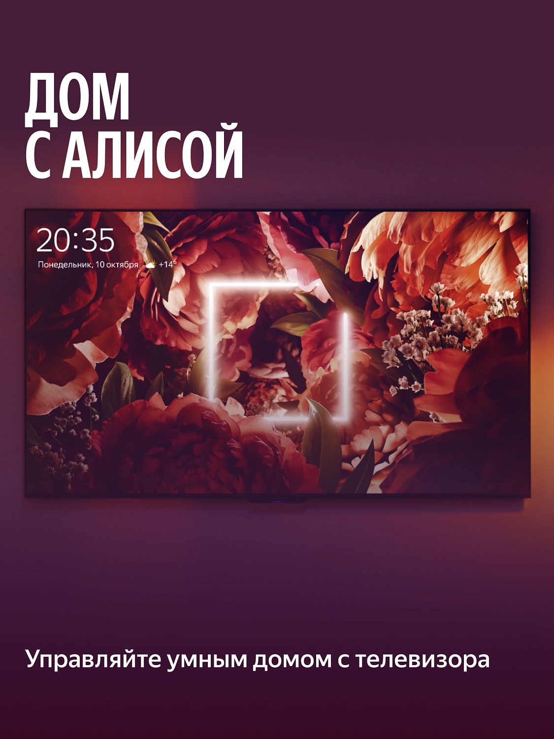 50" Телевизор Q-LED Яндекс ТВ Станция Бейсик QLED (YNDX-00079B)