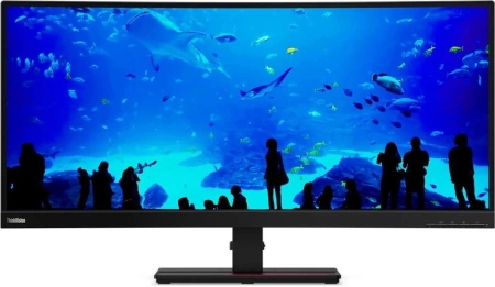 Монитор Lenovo 34" ThinkVision P34w-20 черный IPS LED 6ms 21:9 HDMI M/M HAS Piv 300cd 178гр/178гр 3440x1440 60Hz DP WQ HD 2K (1440p) USB 10.8кг