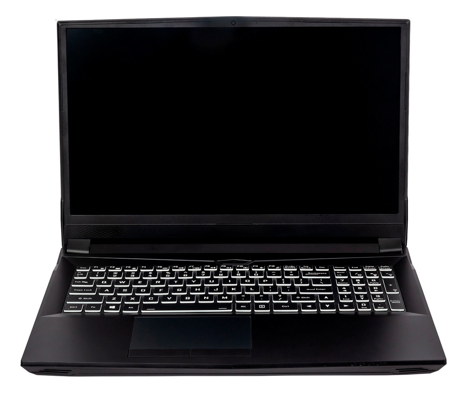 Ноутбук Hiper G16 Core i7 11700 16Gb SSD512Gb NVIDIA GeForce RTX 3070 8Gb 16.1" IPS FHD (1920x1080) Windows 11 Professional black WiFi BT Cam 5040mAh (G16RTX3070A11700W11)