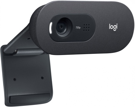 Веб-камера Logitech C505e HD Webcam 60°, складная конструкция, USB2.0, кабель 2м