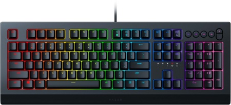 Клавиатура Razer Cynosa V2 черный USB Multimedia for gamer LED