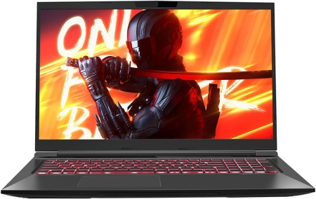 Ноутбук Maibenben X668 Core i7 12700H 16Gb SSD512Gb NVIDIA GeForce RTX 3070 8Gb 17.3" IPS QHD (2560x1440) Linux black WiFi BT Cam 4100mAh (X668QSFELBRE0)