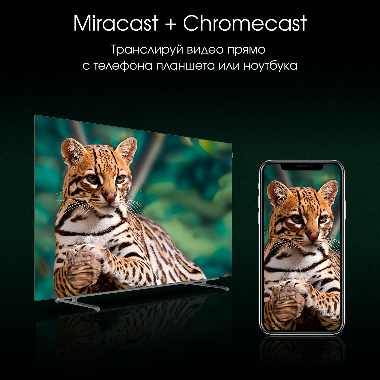 Телевизор OLED Digma Pro 65" OLED 65M Google TV Frameless черный/серебристый 4K Ultra HD 120Hz DVB-T DVB-T2 DVB-C DVB-S DVB-S2 USB WiFi Smart TV