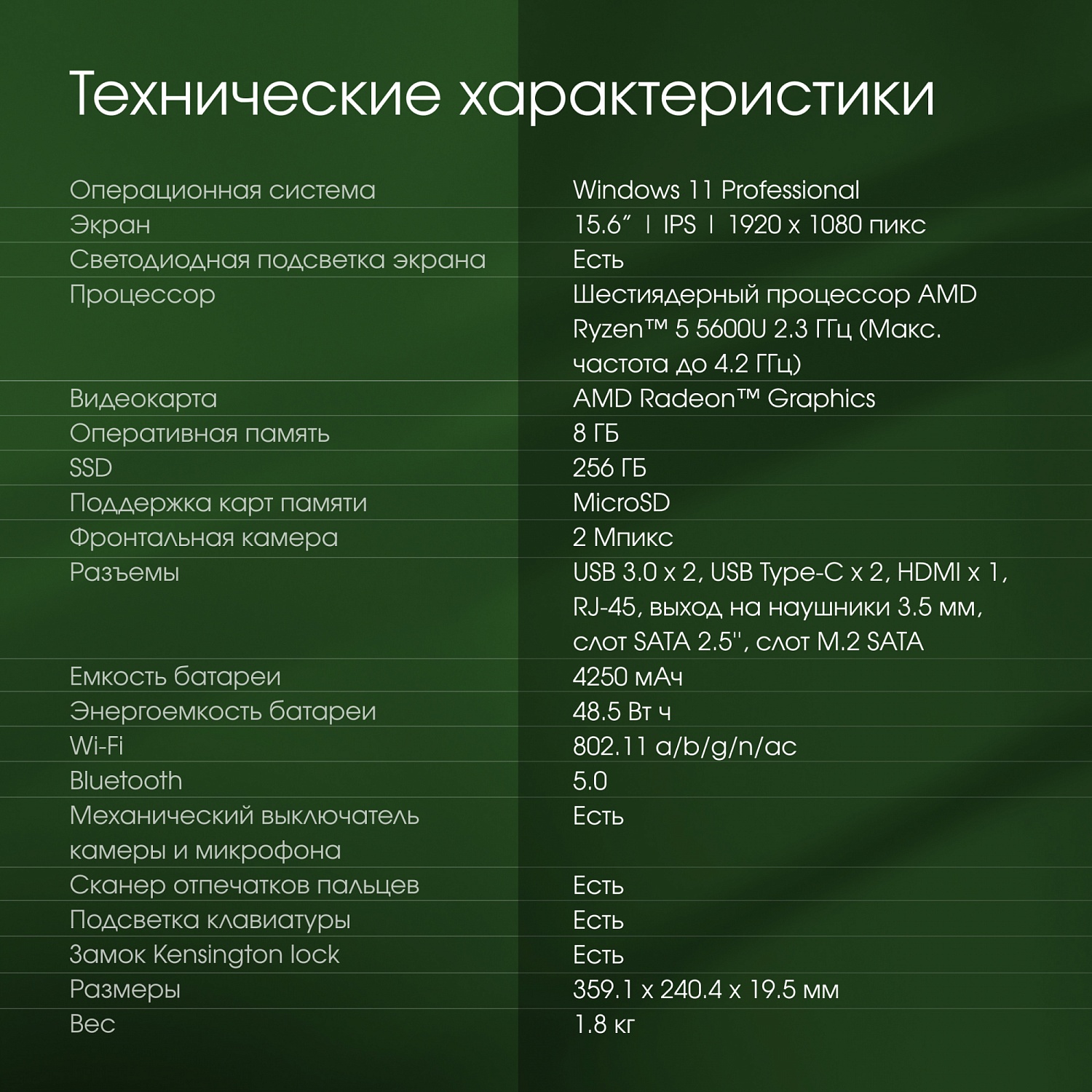 Ноутбук Digma Pro Fortis M Ryzen 5 5600U 8Gb SSD256Gb AMD Radeon Vega 7 15.6" IPS FHD (1920x1080) Windows 11 Professional Multi Language 64 grey WiFi BT Cam 4250mAh (DN15R5-8CXW01)