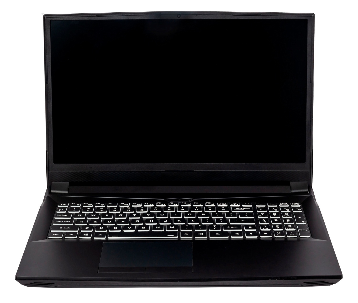 Ноутбук Hiper G16 Core i7 11700 32Gb SSD1Tb NVIDIA GeForce RTX 3070 8Gb 16.1" IPS FHD (1920x1080) Windows 11 Professional black WiFi BT Cam 5040mAh (G16RTX3070C11700W11)