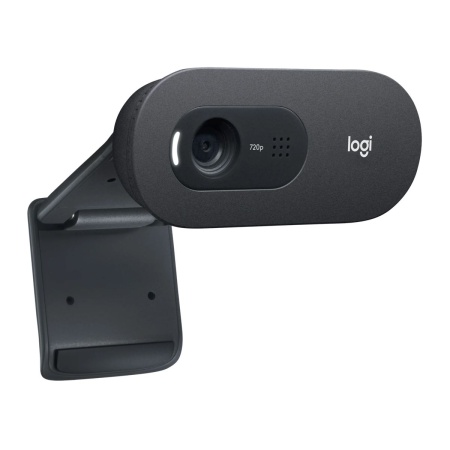 Камера Web Logitech C505e черный 1.2Mpix (1280x720) USB2.0 с микрофоном для ноутбука (960-001373)