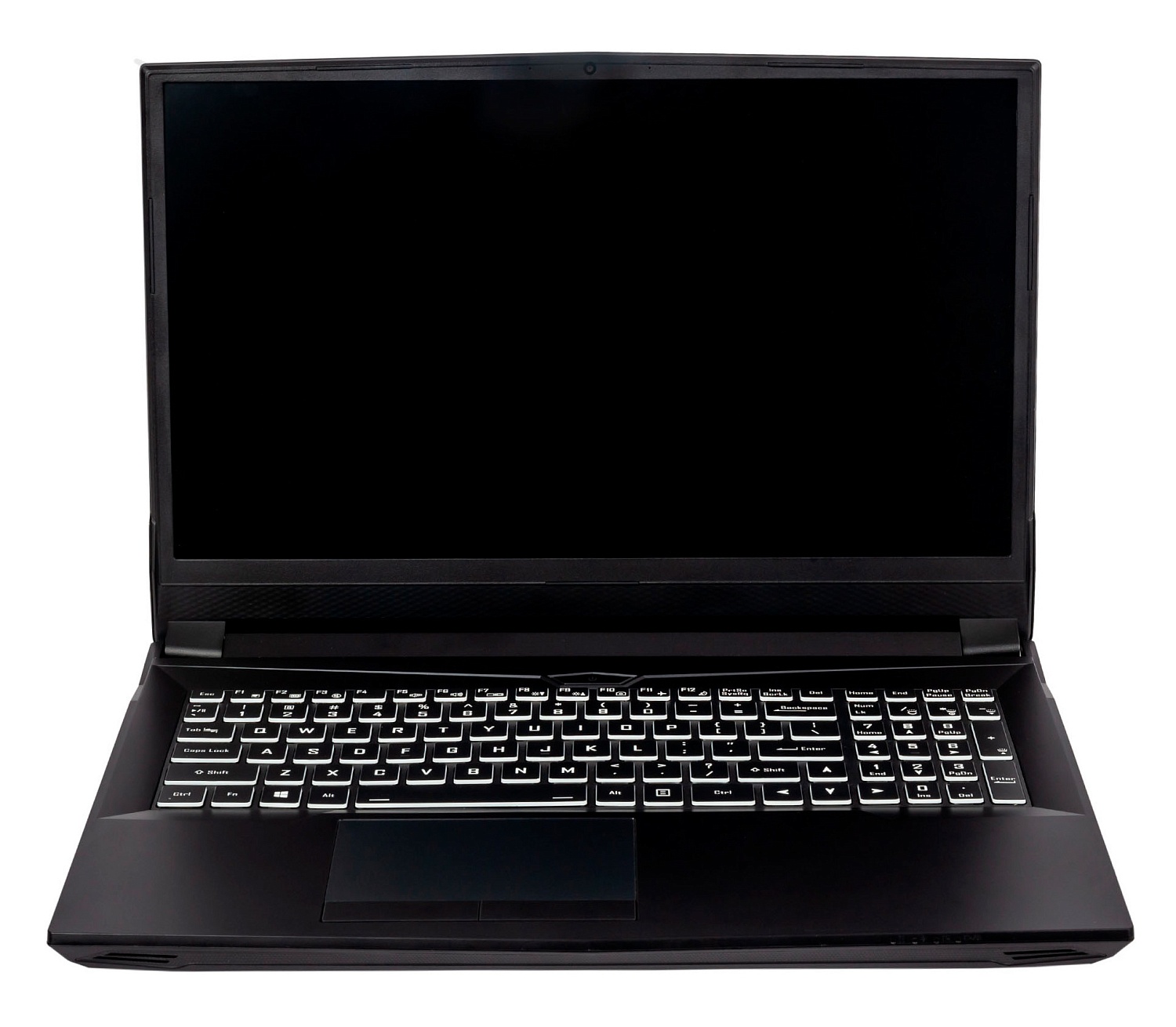 Ноутбук Hiper G16 Core i7 11700 32Gb SSD2Tb NVIDIA GeForce RTX 3070 8Gb 16.1" IPS FHD (1920x1080) noOS black WiFi BT Cam 5040mAh (G16RTX3070D11700LX)