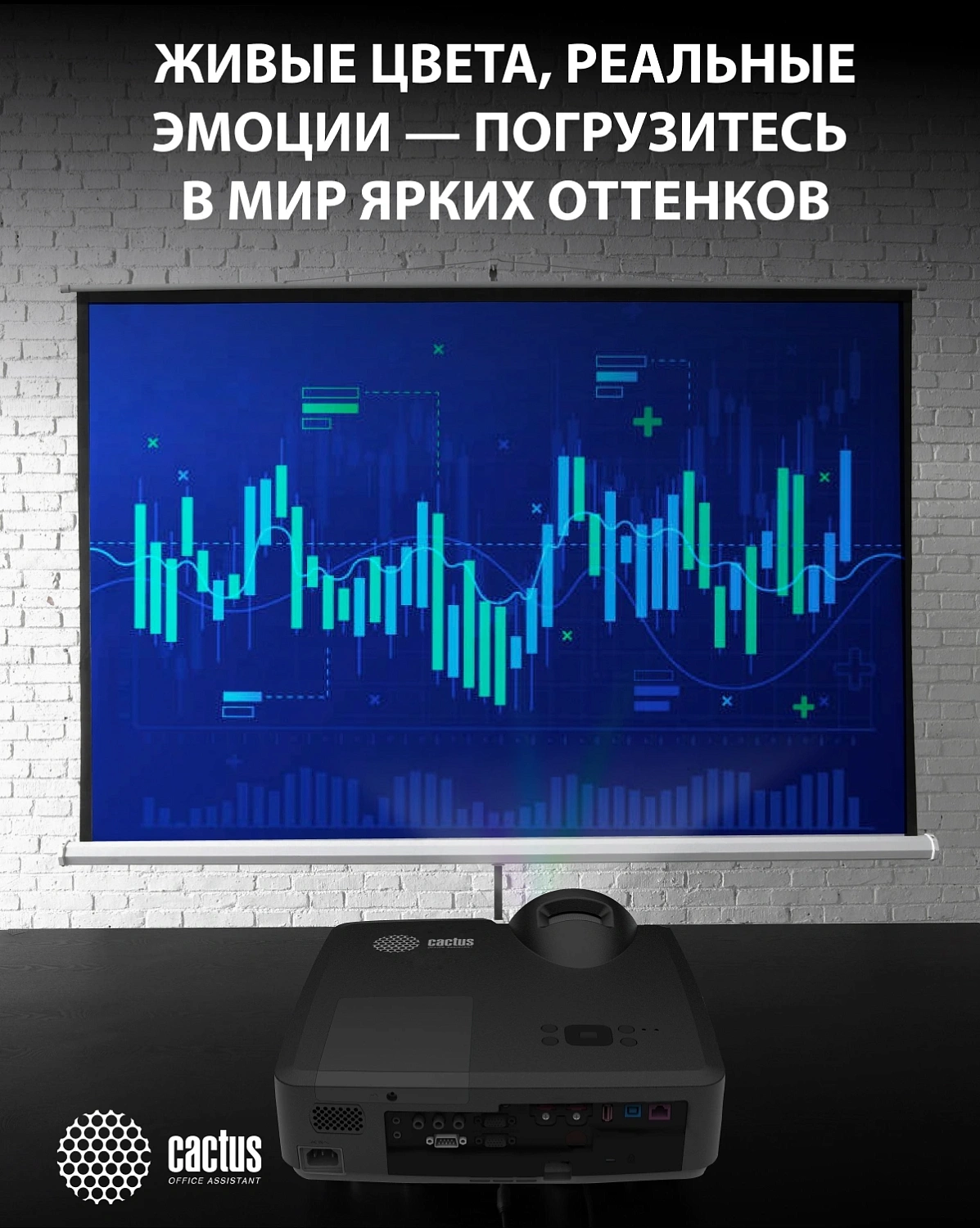 Проектор Cactus Bright CS-V3.B 3LCD 4000Lm ANSI (1280x800) 30000:1 ресурс лампы:10000часов 1xUSB typeA 1xUSB typeB 2xHDMI 4кг