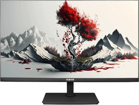 Монитор RDW Computers 23.8" 2401K черный IPS 4ms 16:9 HDMI M/M матовая HAS Piv 1000:1 250.300cd 178гр/178гр 1920x1080 100Hz VGA DP 1.7кг (RUS)