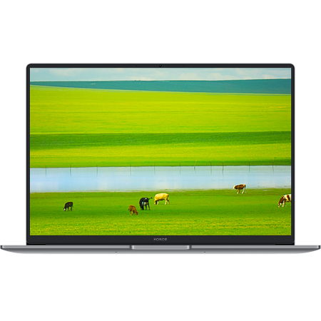 Ноутбук HONOR MagicBook X14 Plus Intel Core 5 220H/16Gb/SSD1Tb/14"/IPS/FHD/60Hz/Win11H/Grey (5301ALWA)