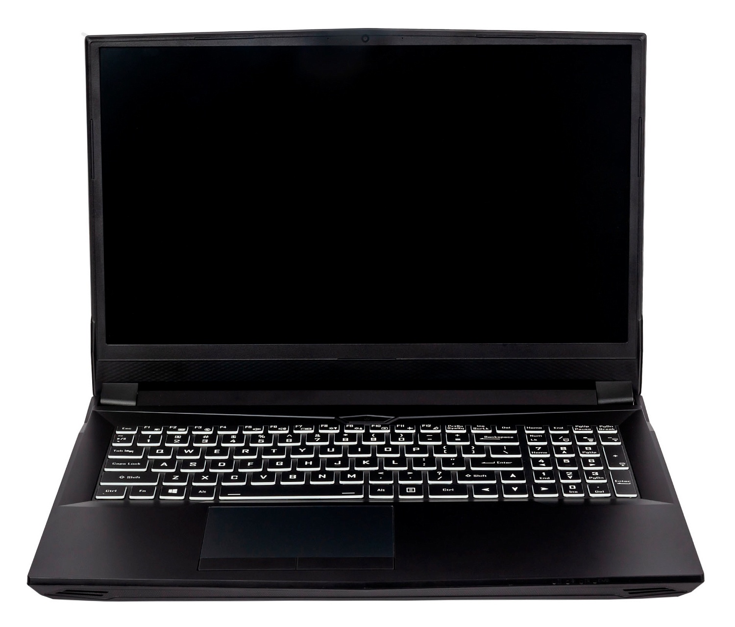 Ноутбук Hiper G16 Core i7 11700 16Gb SSD1Tb NVIDIA GeForce RTX 3070 8Gb 16.1" IPS FHD (1920x1080) noOS black WiFi BT Cam 5040mAh (G16RTX3070B11700LX)