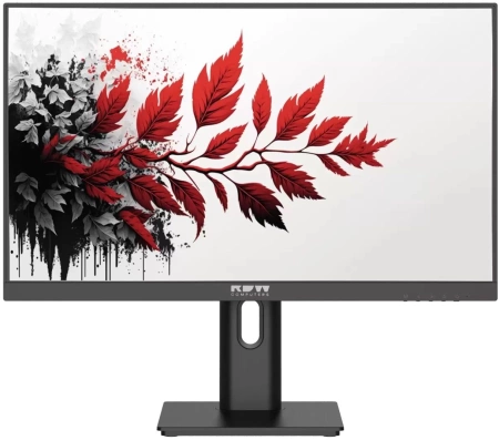 Монитор RDW Computers 27" RDW2701K черный IPS 5ms 16:9 HDMI HAS Piv 1000:1 300cd 178гр/178гр 2560x1440 DP QHD USB 1.7кг (RUS)