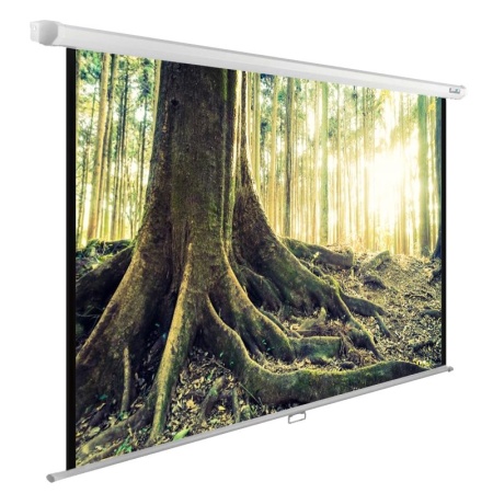 Экран Cactus 220x220см WallExpert CS-PSWE-220x220-WT 1:1 настенно-потолочный рулонный