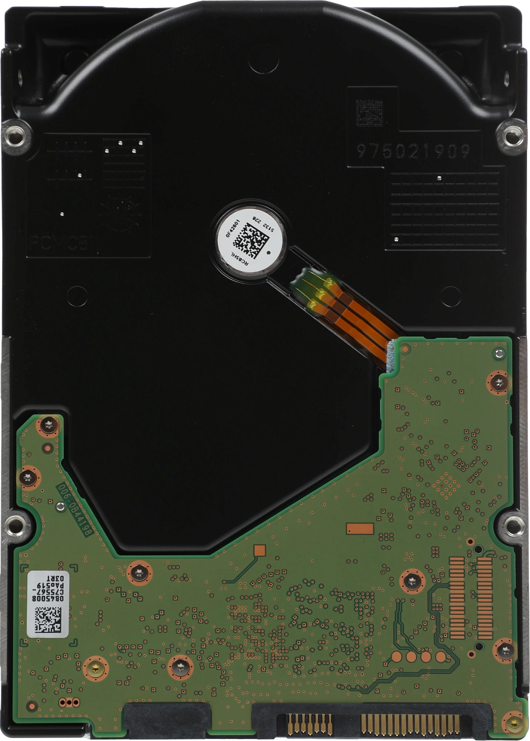Жесткий диск WD SAS 3.0 18TB 0F38362 WUH721818AL5204 Server Ultrastar DC HC550 512E (7200rpm) 512Mb 3.5"