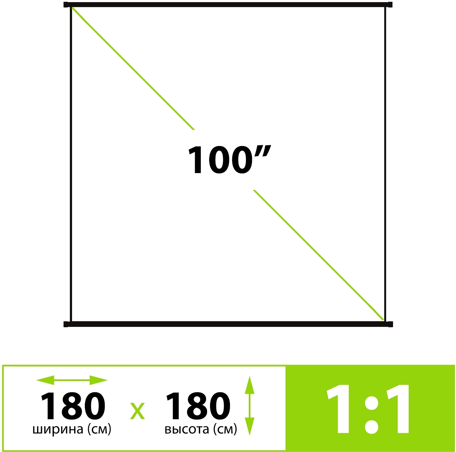 Экран Cactus 180x180см Map type CS-PSRM-180x180-WT 1:1 настенно-потолочный рулонный белый Экран Cactus 180x180см Map type CS-PSRM-180x180-WT 1:1 настенно-потолочный рулонный белый