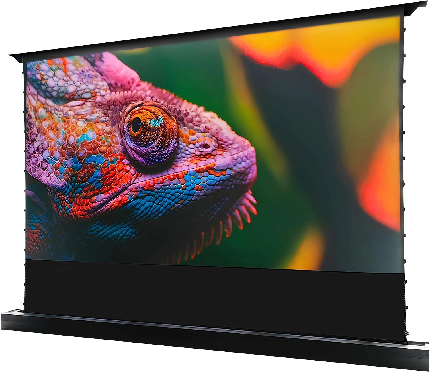 Экран Cactus 125x221см FloorRising CS-PSFRCLR-221X125 16:9 напольный рулонный черный (моторизованный привод)