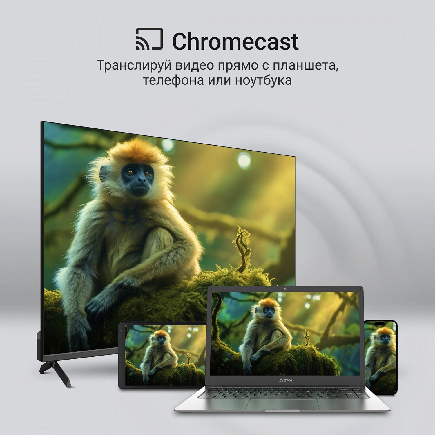 Телевизор QLED Digma 65" DM-LED65UQB31 Google TV Frameless Metal черный/черный 4K Ultra HD 60Hz MEMC DVB-T DVB-T2 DVB-C DVB-S DVB-S2 USB WiFi Smart TV